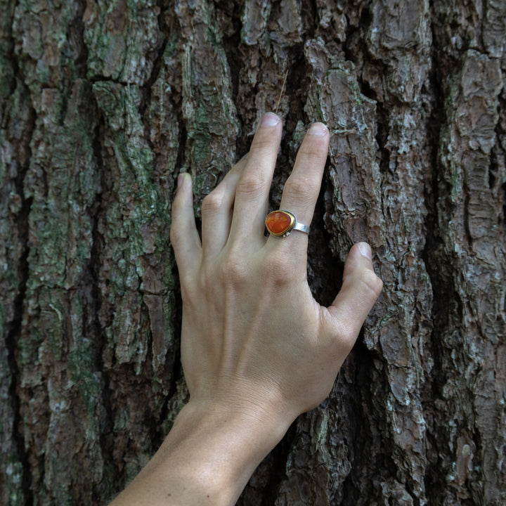 Befriend a Tree: A Guided Meditation