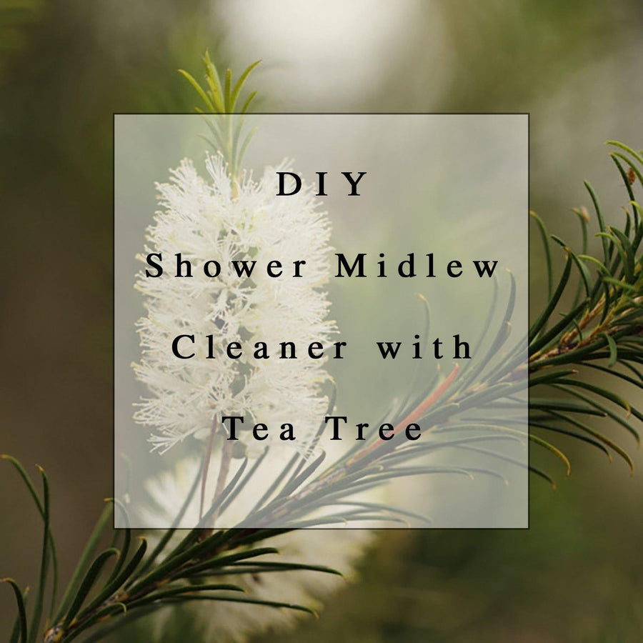 DIY: Essential Oil Shower Spray Cleaner for Mildew ( And How It Works ). - MIZU