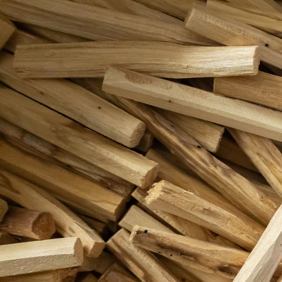 What Is Palo Santo?  From Wood to Essential Oil - MIZU
