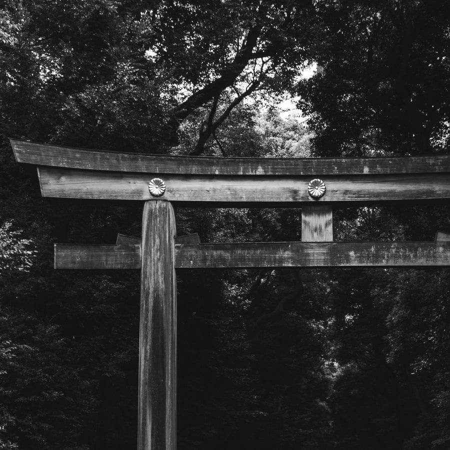 MIZU Temple Botanical Perfume Oil 