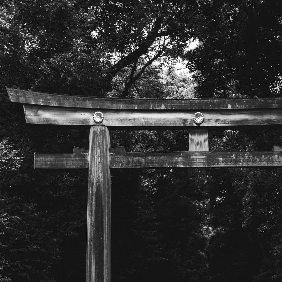 scent of Japanese temple lost in the forest
